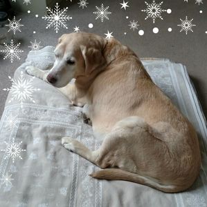 Meet your Posher, Cathy